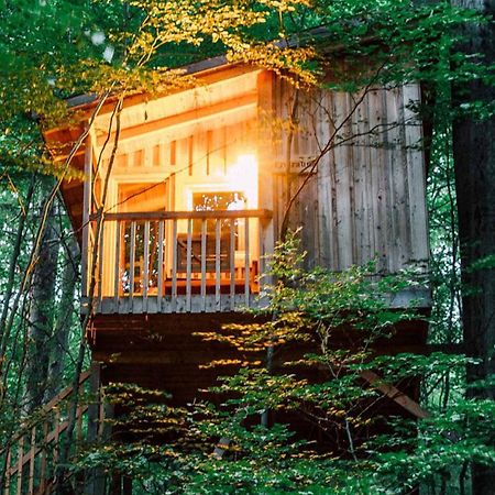Baumhaushotel Solling Uslar Kültér fotó